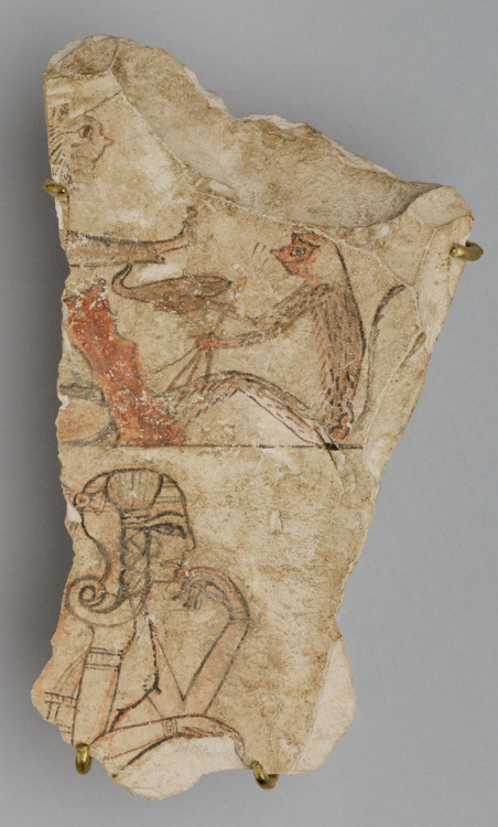 Sex dwellerinthelibrary:A Ramesside ostracon pictures