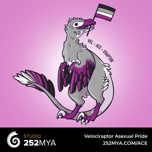 Show off your asexual pride with this Vel·ace·eraptor (Veloceiraptor).  Available on a