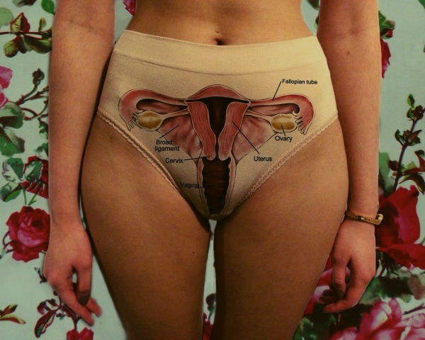   Anatomically correct underwear and bra from the “Why Are You So Afraid of Your