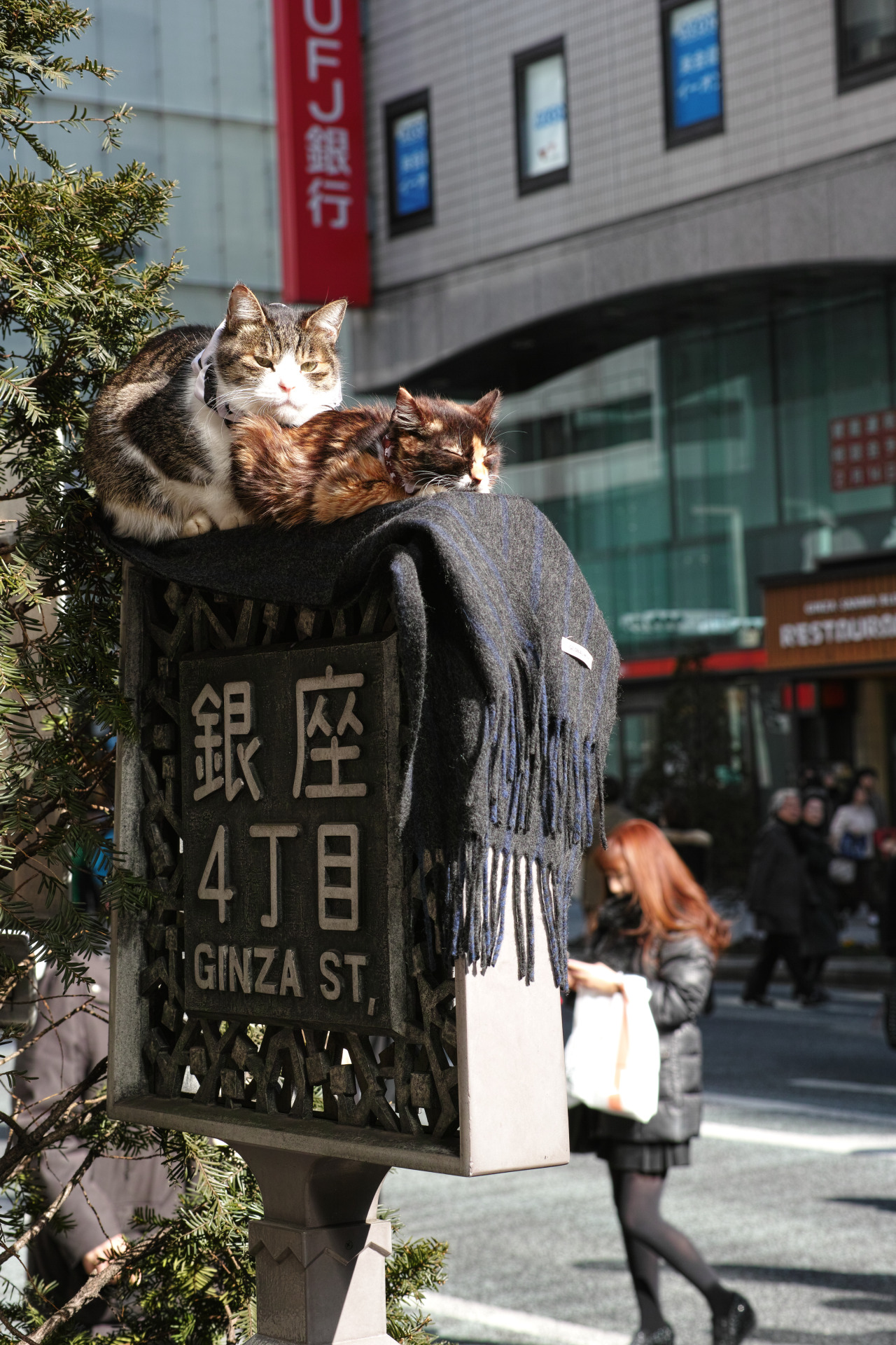 logwire:ginza  13:19:06
