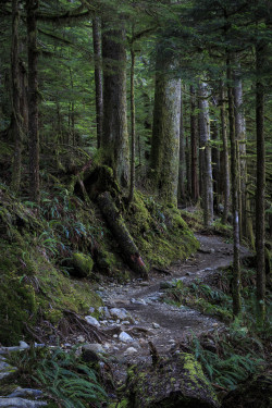 lori-rocks:  Day Hike.. (by EricEwing)