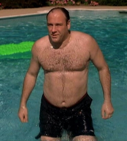 adam-and-celebrity-chubs:  Adam-and-Celebrity-Chubs #21  James Gandolfini  (Actor)