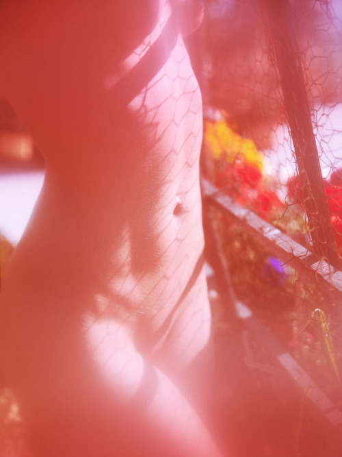 keslertran:  “Eden” 