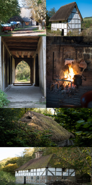 The Weald and Downland Open Air Museum in West Sussex rescues historically important and representat