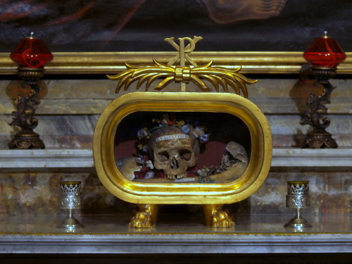 purgatorialsociety: The skull of St. Valentine of Rome kept at the church of Santa Maria in Cosmedin