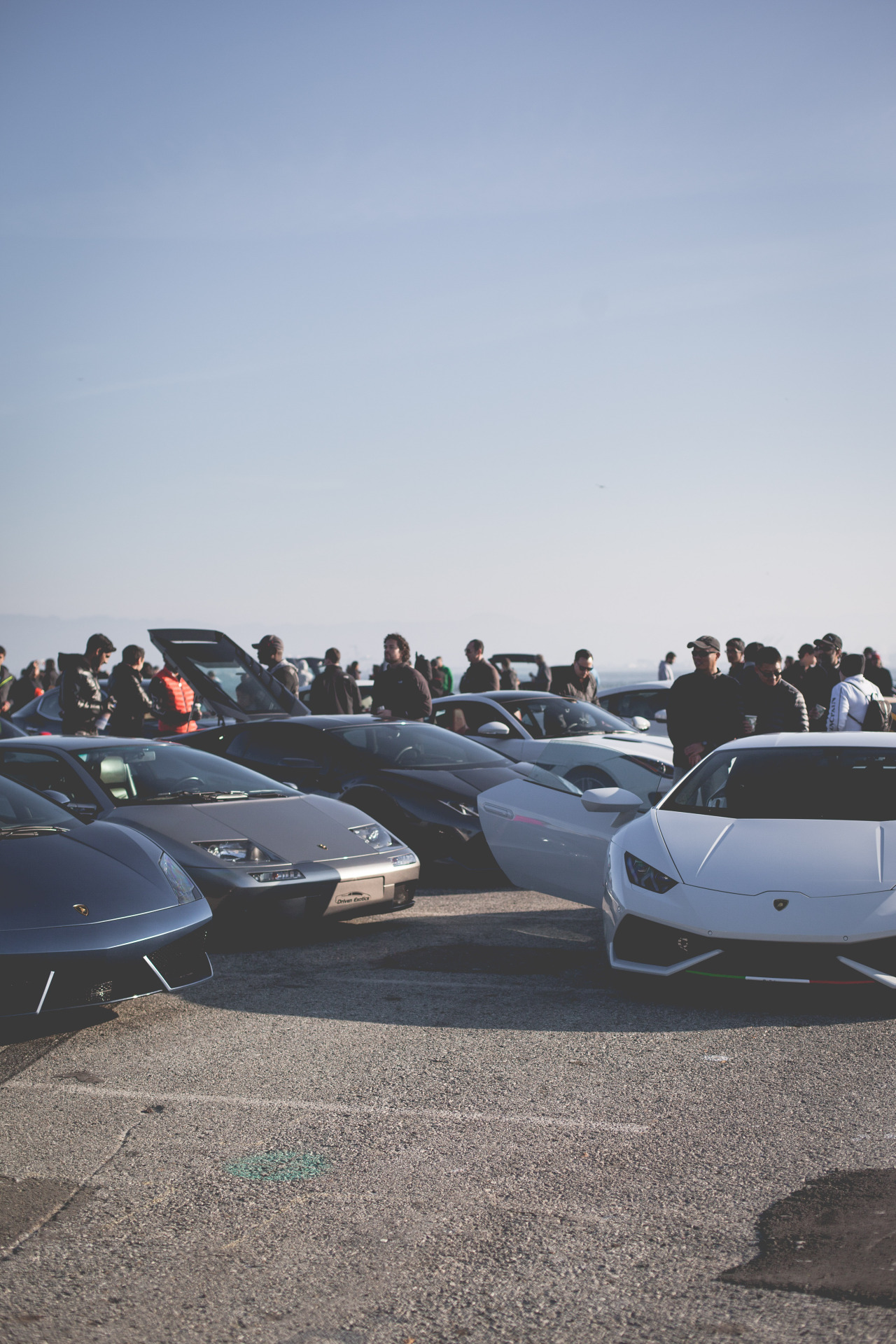 Full Throttle Auto