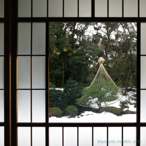 bluefumi: 昨日は東京もいきなりの雪。以前、珍しく大雪が降った翌日旧前田家本邸の和館を訪ねてみました。わざわざそんな日に行くなよ、って感じですが(^_^;;窓越しの雪景色がとってもキレイでした