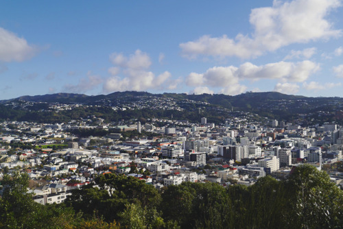 20190625 - Mt Victoria Lookout, Wellington: View of Wellington City from the top of Mt Victoria, and