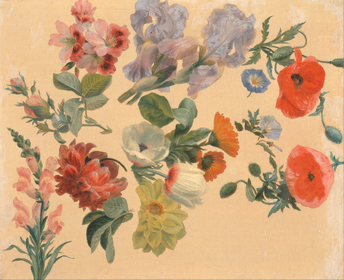 dappledwithshadow:Studies of Summer FlowersJacques-Laurent Agasse circa 1848Yale Center for British 