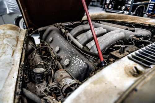 carsthatnevermadeitetc: Mercedes-Benz 300 SL “Gullwing” (W 198),1954. Chassis number 43,