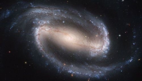 the-wolf-and-moon: NGC 1300, Galaxy Eye