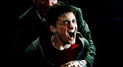 magicfolk:  &ldquo;I killed Sirius Black! I killed Sirius Black!&rdquo; 