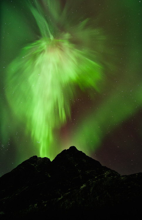 Porn spaceexp:  The aurora borealis over the Norwegian photos