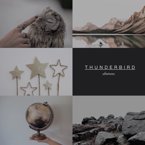 timeturnr:  Ilvermorny School of Witchcraft and Wizardry &amp; the houses
