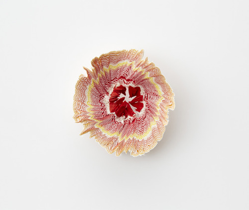 culturenlifestyle:  Miniature Paper Flowers Mimick Pencil Shavings by Haruka Misawa Designer  Haruka