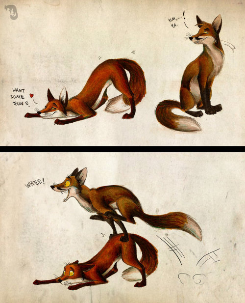 twizz-doodles:  azula-griffon:  verysaltyonions:  ask-ace-n-angel:  FOXES!!!  What  Hnnnn i remember reading these when i was 11 <33  Culpeo-fox senpai  YES I REMEMBER THESE  OMG Culpeo~ >w<