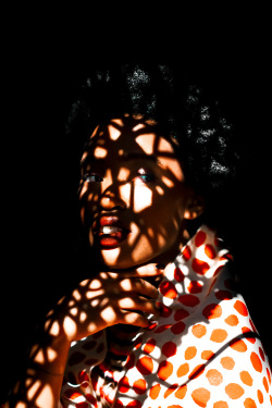 dapperlou:  Shadow Play..featuring Tony Gum