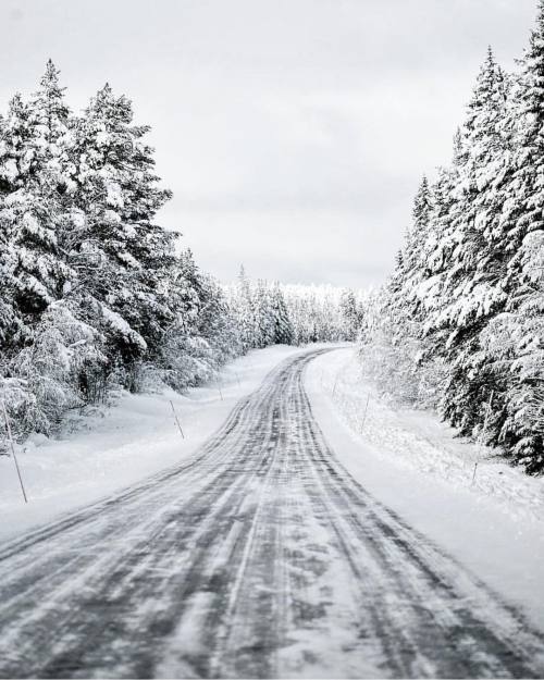 upknorth: Meanwhile in Sweden.   #getoutdoors #upknorth Old roads, new snow. Awesome shot by @josefi