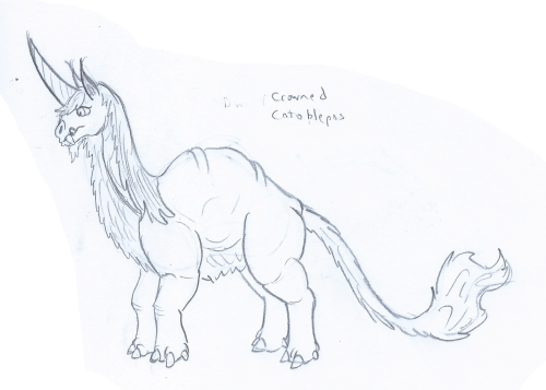 tyrantisterror:Drew some weird horses today.The Wild Catoblepas: one of the smallest species of behe