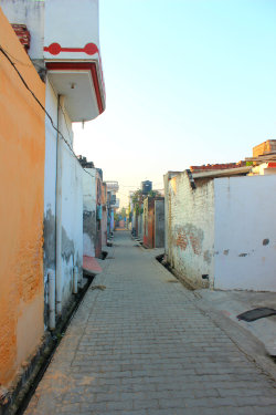 fotobombb:  Colourful | Punjab  