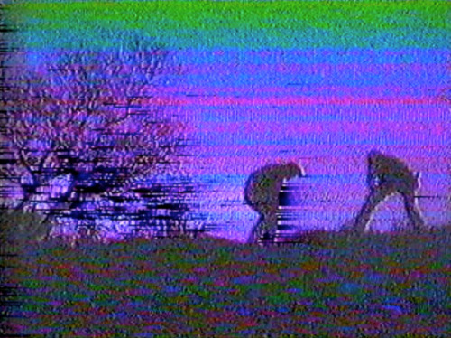 http://starkade35mm.tumblr.com/post/80945155254