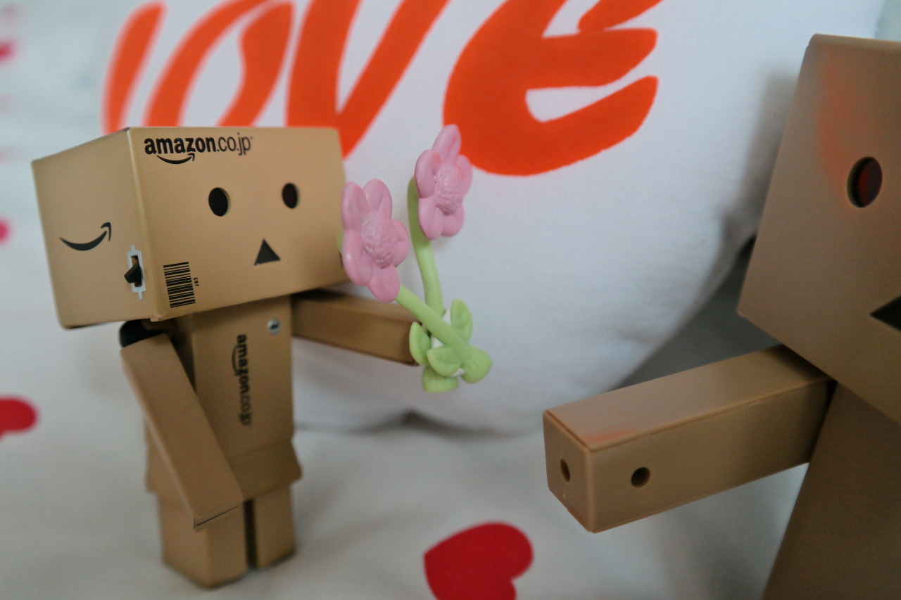 My Danbo S World My Danbo S World