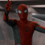 webswingincarer