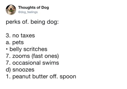 thriveworks: Dog Thoughts (see 10 more)