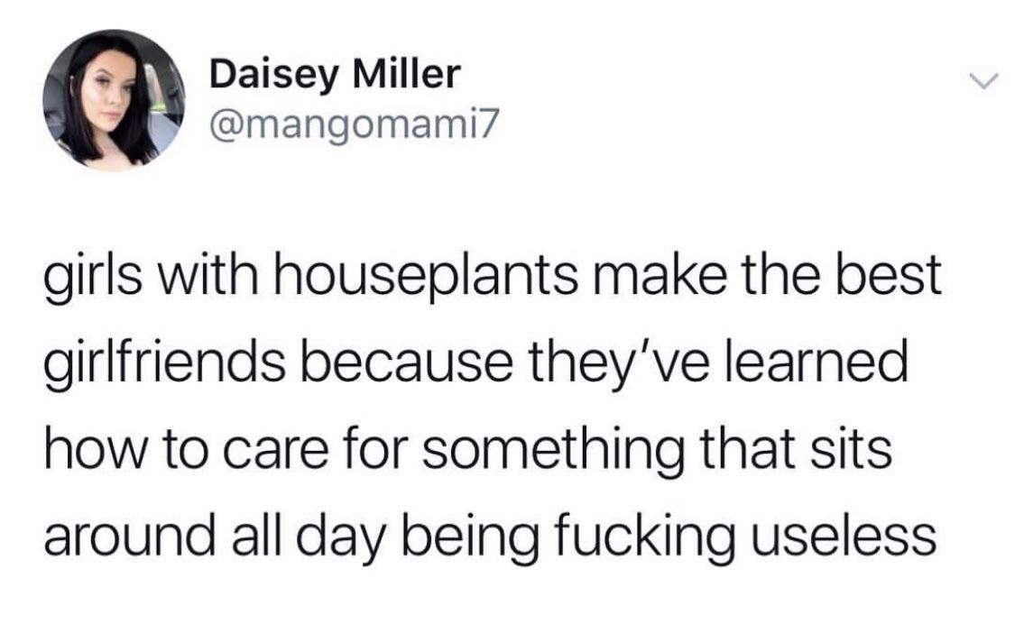 caucasianscriptures:  Houseplant care