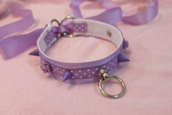 sara-meow:  Had to RUSH to take pictures,still have to tidy up/remove the poka dot ribbon in the back that you see!! D:New purple collar :) Made the ends have rings,so you can add a chain and use it as a martingale collar ^_^