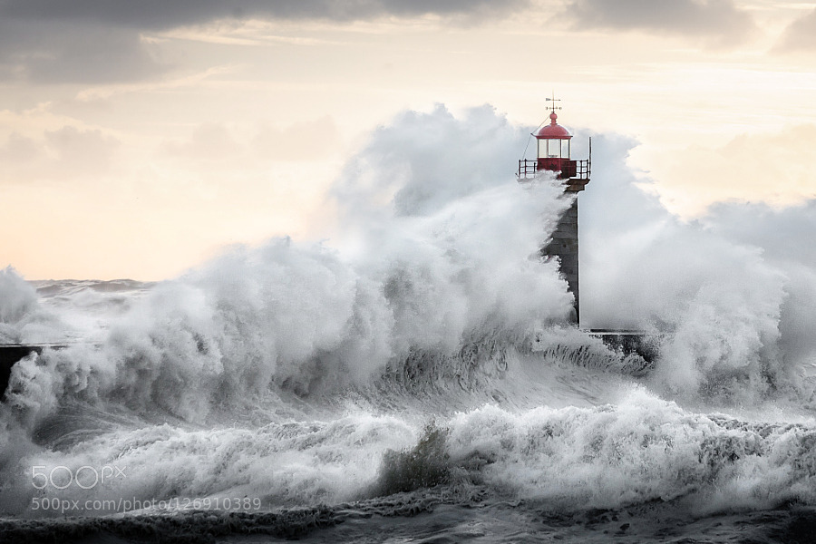 jollyrogers777:  Yea… Lighthouse Fantasy… 