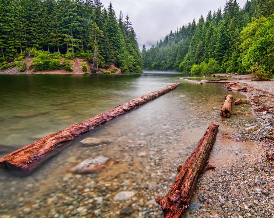 woodendreams:  (by James Wheeler)