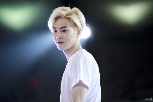 dailyexo:Suho - 140815 SMTown Live World Tour IV in SeoulCredit: 잔치국수호.