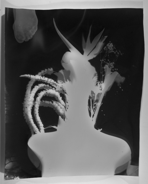 grigiabot:    Tatiana KronbergUntitled2015Photogram  