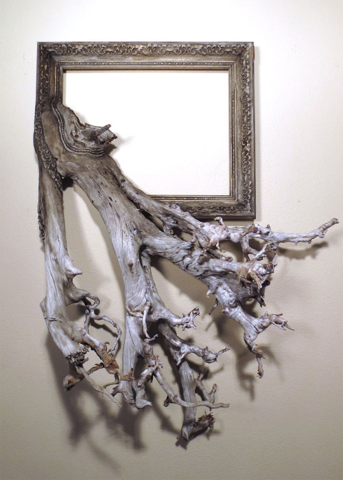 stuffguyswant:Twisted Tree Branches Burst From Stunning Wooden Frames by Darryl CoxOregon-based desi