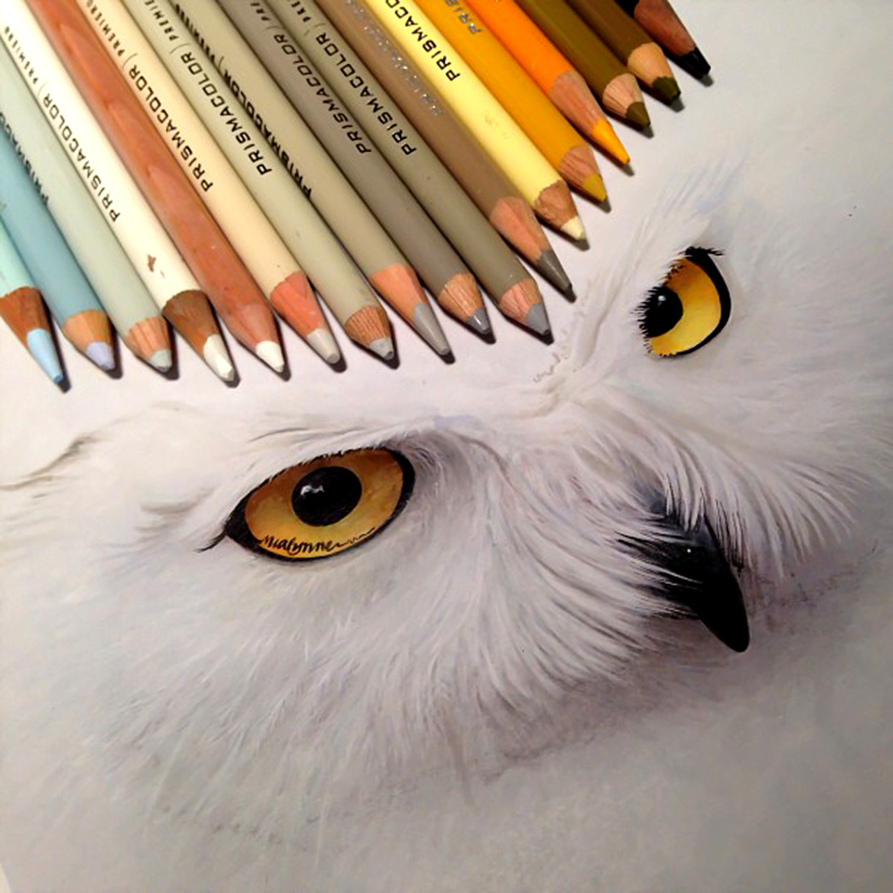 thievinggenius:  Illustration done by Karla Mialynne. @mialynne177 fellow tumblr: