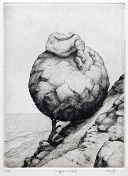deformography:  Michael Bergt, “Sysiphus