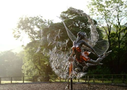 mymodernmet:  UK-based artist Robin Wight uses stainless steel wire to form stunning, dynamic sculptures of winged fairies dancing in the wind. 