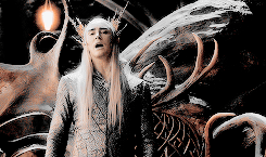 elvenking:    A hundred years is a mere blink in a life of an E l f.  
