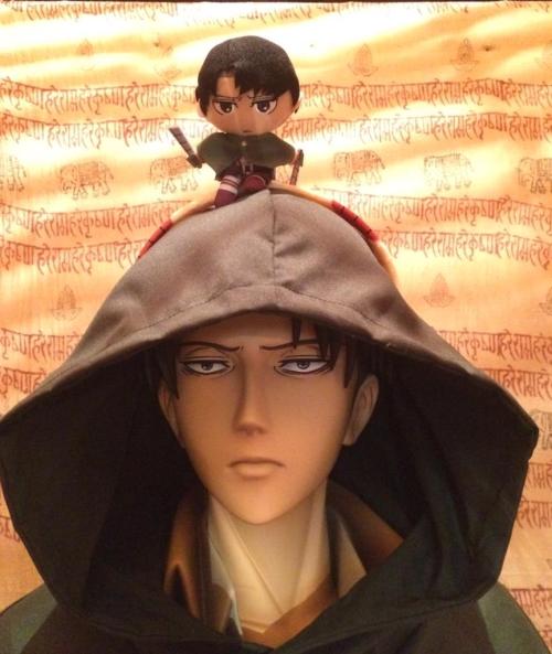 Life-size Levi figure owner rurukota has been dressing him up at home (Among other things).More on the life-size figures here!ETA: Added megane!Levi, lol.