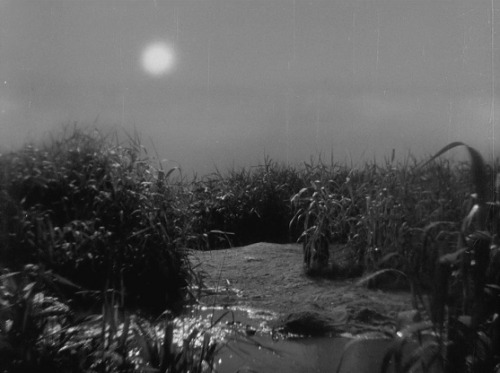 somequeerdistortion:Miss Oyu | Kenji Mizoguchi | 1951