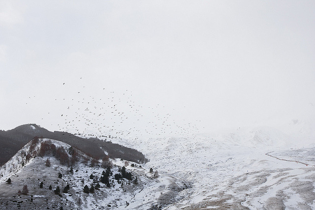 just-breezy:  Untitled by Contra_dictioN 