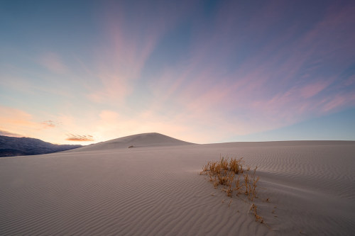 wicks-photo: Dune Dawn Eureka Sand Dunes, Death Valley National Park
