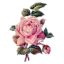 overitera