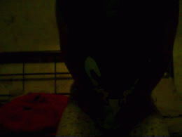 wordsmatty:  classically-curvaceous:  A pyjama saturday GIF dedicated to wordsmatty Unfortunately it wouldn’t send so I’m posting it. I can’t be so damn sexy all the time- a girl gotta have some pyjamas for comfort too! ;)  I absolutely love this!