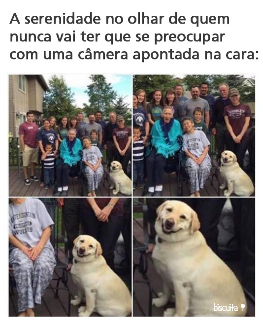 biscuita:  Bis 