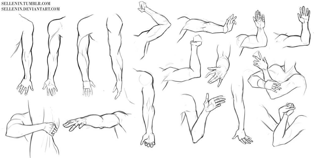 How to Art — Arms and hands reference by Sellenin