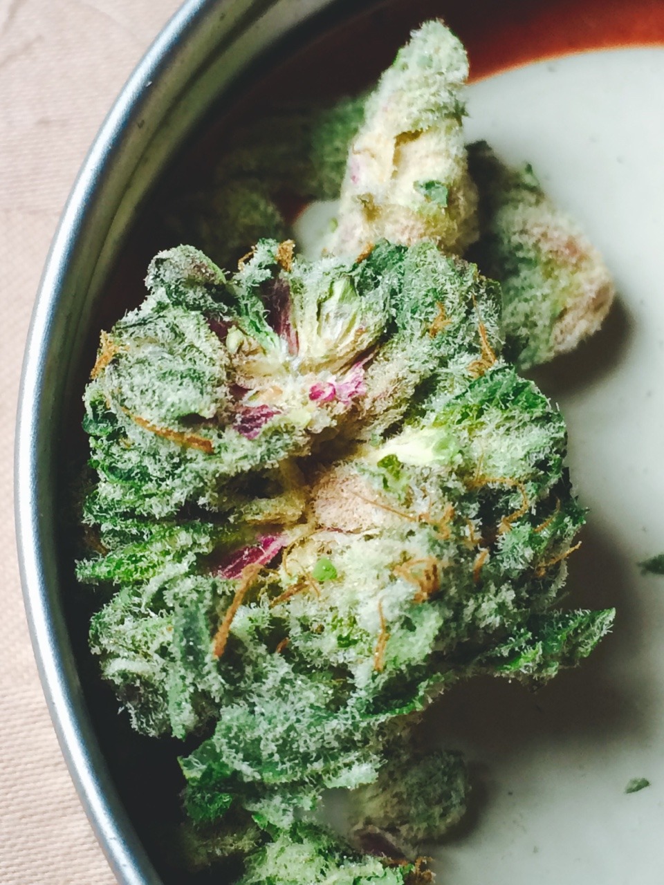 hellolaurenzo:  My mom brought down this medical from Maine. OG Real. It’s so purdy!☺