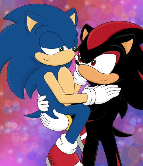 ~!The hedgies having a loving moment after shadow caught sonic in white park!~