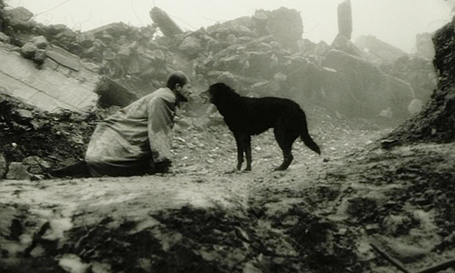 highvolumetal:    Kárhozat , Béla Tarr , 1988.    